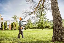 Best Hedge Trimming  in Preakness, NJ